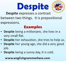 Using Despite In English In 2020 Learn English Words English Vocabulary Words Learn English Vocabulary