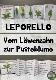 Leporello Vom Lowenzahn Zur Pusteblume Unterrichtsmaterial Im Fach Sachunterricht Lowenzahn Kindergarten Lowenzahn Lehrmaterial