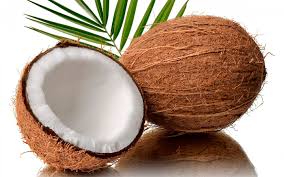Ministerio de Salud y Deportes de Bolivia - BENEFICIOS Y PROPIEDADES DEL  COCO