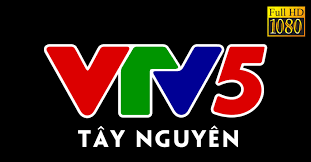 Vietnam television, or vtv (vietnamese: Vtv Go Yam Code