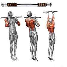 Musculation Fitness Gym Fit Motivation Workout Training Bodybuilding Sport Muscle Nopainnogain Fitne Fitness Training Gym Workout Chart Fun Workouts