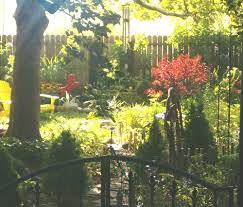 Check spelling or type a new query. Team Trees The Monkey Garden