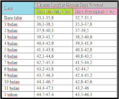 We did not find results for: Ukuran Lingkar Kepala Bayi Normal Pria Dan Perempuan Blog Ruangguru 2