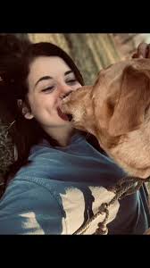 My baby boy 🥺💗 #yellowlab #lab #pet #dogmom #bestfriendgoals