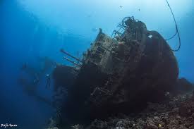 A marine explorer's decision to include pictures of the underwater remains of a crewman killed in the edmund fitzgerald shipwreck in a 20th anniversary book and video has some family members of. Cedar Pride Wreck Marine Life Marine Cedar