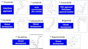 Image result for ROS1 Inhibitor
