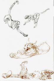 Claire Wendling Animal Drawings Creature Design Drawings