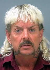 Tiger King's Carole Baskin confirms reality show rumours