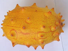 Image result for Cucumis zeyheri