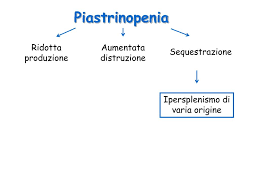 Tutto l'essenziale spiegato in parole semplici. Ppt Le Piastrinopenie Powerpoint Presentation Free Download Id 6174434