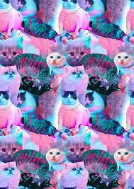 Photo Cropped And Edited Different Cat Pictures Placed On Top Of Each Other Making There No Background This Is A Very Trippy Cat Cat Background Cat Wallpaper