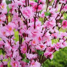 We did not find results for: 2021 126cm 50inch Pink Artificial Peach Branches Cherry Blossom Silk Flowers Home Wedding Party Shop Decoration Flower From Beltseller 3 15 Dhgate Com