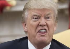 Una de las personas que más conoce a Donald Trump es Eileen Workman. Miren  lo que acaba de publicar.