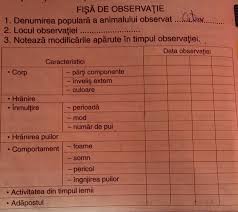 Copiii cu adhd prezintă, de regulă, un tip de comportament clasificat de specialişti în două categorii principale: VÄƒ Rog SÄƒ MÄƒ AjutaÈ›i Sa Fac Fisa De Observatie La Un Animal Uitati Va In Poza Pentru A Vedea Modelul Brainly Ro