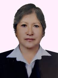 Profesores Educación Primaria