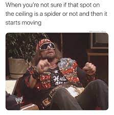 Twenty One Wrestling Gems From The Atomic Elbow In 2020 Funny Memes Wrestling Memes Memes