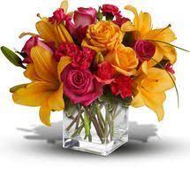Nashua, nh consumer products and services florists flower shops. 16 Nashua Nh Ideas Nashua New Hampshire Flowers Online