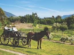 The commune spans an area of 1,344.8 km2 (519 sq mi). Melipilla Chile Tourismus In Melipilla Tripadvisor