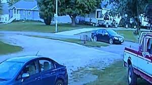 It was covered in cornstalks, with only her. Mollie Tibbetts Crime Scene Photos Released During First Week Of Farm Helper S Murder Trial Crime Online