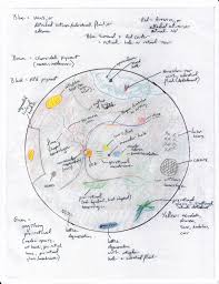 Basics Of Fundus Retina Drawing Shortwhitecoats Com