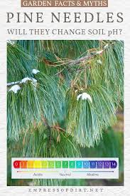 Even a 2 to 3 inch layer of pine mulch will not change the soil ph enough to measure. Will Pine Needles Make My Garden Soil Ph Too Acidic No It S A Myth