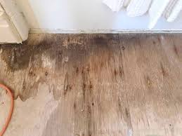 There are six subfloor/underlayment structures that are widely accepted for ceramic tile floors. Patching And Repairing Subfloor At Charlotte S House