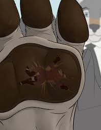 Hahafunny 65 hentai videos, GIFs, and images | Rule 34 App