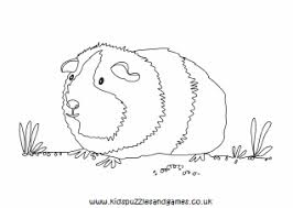 Pig with its piglet coloring pages. Guinea Pigs Colouring Sheets Kids Puzzles And Games