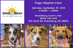 When you adopt from animal alliance, you not only change the life of a special pet, you help us end pet overpopulation. Puppy Adoption Event Today Saturday Animal Alliance Of New Jersey Facebook