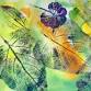 Nature Printing with Florida Nature