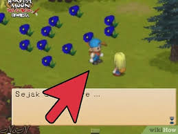 Check spelling or type a new query. How To Succeed In Harvest Moon Back To Nature With Pictures