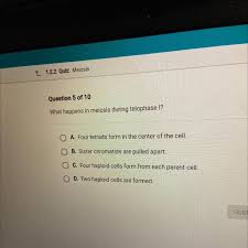 › gizmos student exploration answer key. What Are The Possible Genotypes Of The Gametes Gizmo