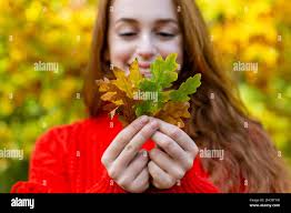 Young leaves in the forest hi-res stock photography and images