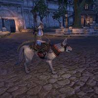 There are free pets and polymorphs up for grabs in the elder scrolls online. Online Mounts Canines The Unofficial Elder Scrolls Pages Uesp