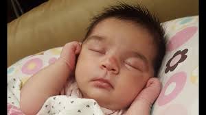 One of the newer members of the family