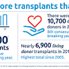 In the united states, there is a large shortage of organ donors. 1