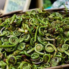 It can be pickled in a preserves jar or made into juice in a. Blink And You Might Miss Your Chance For Fiddlehead Ferns Kitchn