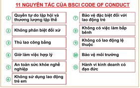 TƯ VẤN CHỨNG NHẬN BSCI – Trends Solutions