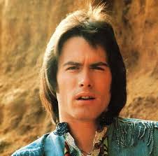 HISTORY OF AUSTRALIAN MUSIC FROM 1960 UNTIL 2000: RAY BURGESS