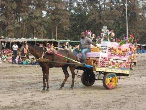 jampore beach daman horse riding - Picture of Jampore Beach, Daman - Tripadvisor