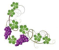 Transparent Vine Decoration Png Clipart Picture Png 4340 3658 Drawing Uva Dibujo Imagenes De Uvas