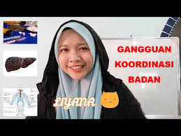Koordinasi badan sains tingkatan 4. Gangguan Kepada Koordinasi Badan Bab 7 Sains Tingkatan 4 Youtube