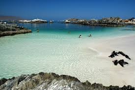 Descubre las mejores playas de iquique y relájate frente a la costa. Playas De La Costa Chile Travel