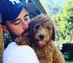 Brayden Stepien (@brayden_stepien) • Instagram photos and videos