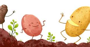 Fruits Legumes Pauline Amelin Gaspillage Alimentaire Fruits Et Legumes Fruits