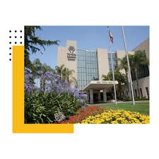 Check spelling or type a new query. Covid 19 Vaccination Clinic Resources Tri City Medical Center