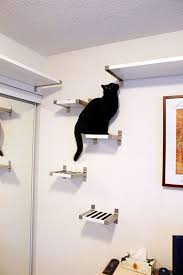 Ikea Shelving Catwalk Cat Forum Cat Discussion Forums Diy Cat Shelves Diy Cat Tower Cat Shelves