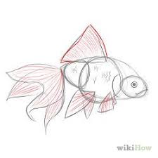 How To Draw Goldfish Goldfish Art Drawings Fish Drawings