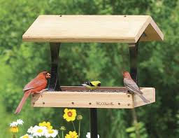 Bird Feeder For Large Birds Top 10 Best Bird Feeders Design For Me Wooden Bird Feeders Bird Feeder Plans Large Bird Feeders
