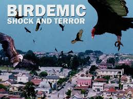 Kj also talks about his heart attack, and experiences with the medical side of the beast system that had during that time. Birdemic Shock And Terror 2008 Rotten Tomatoes